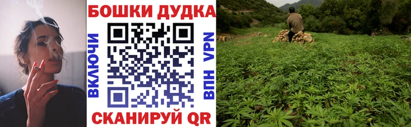 Каннабис индика Усть-Джегута
